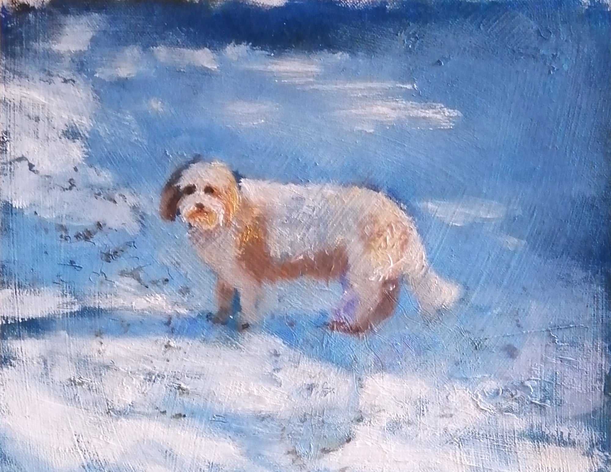 Snowdog