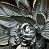 Black And White Waterlily