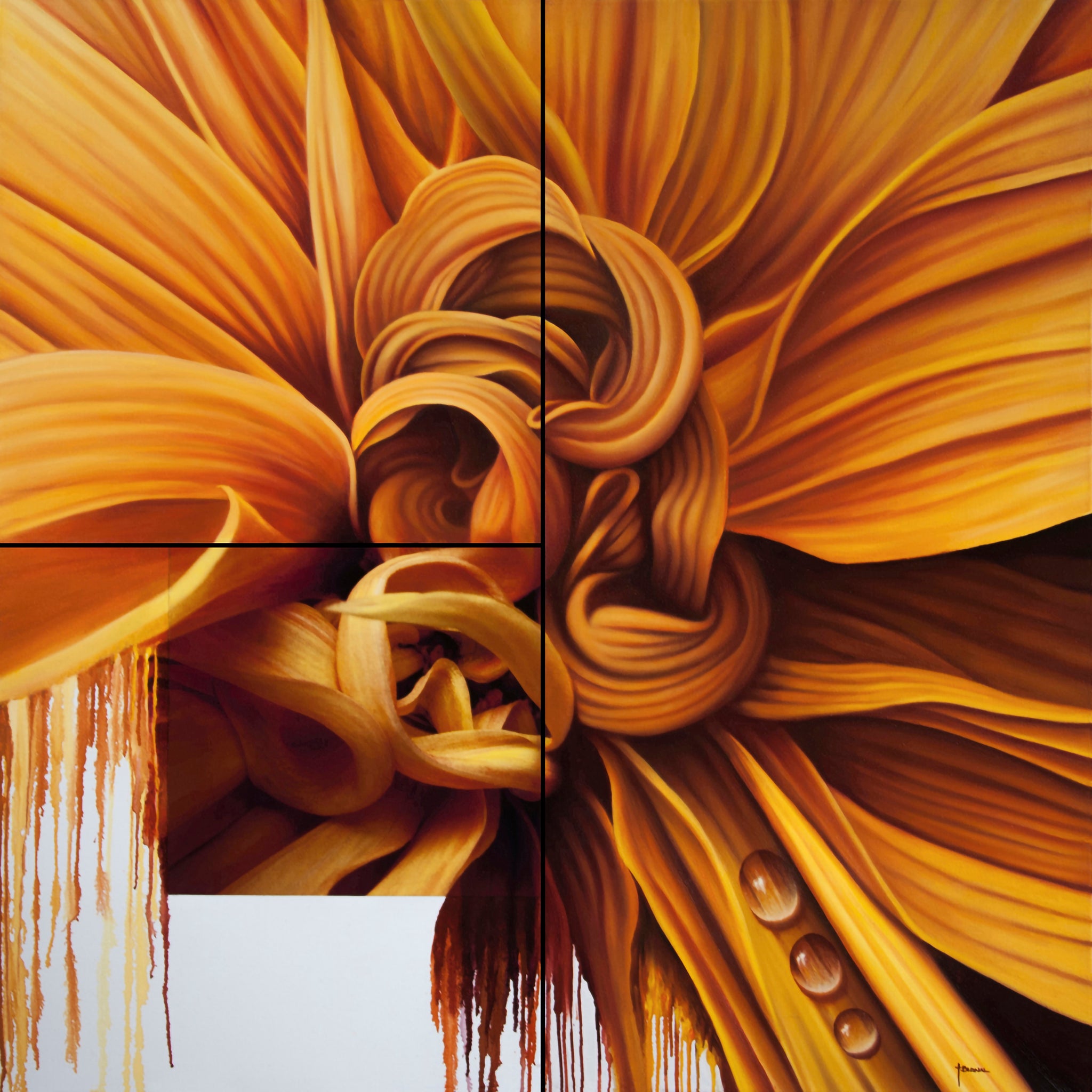 Yellow Dahlia