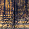 Sunset Reflections