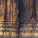Sunset Reflections