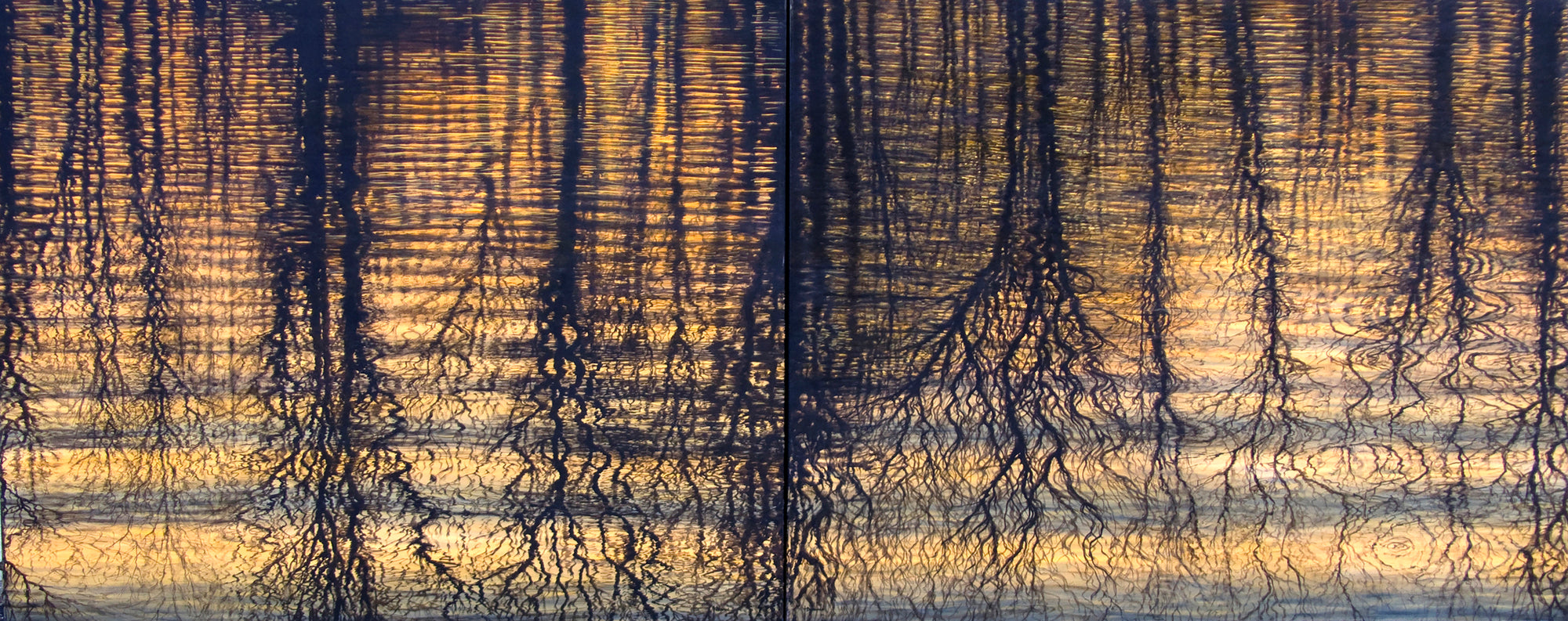 Sunset Reflections