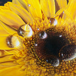 Magnifying Droplets