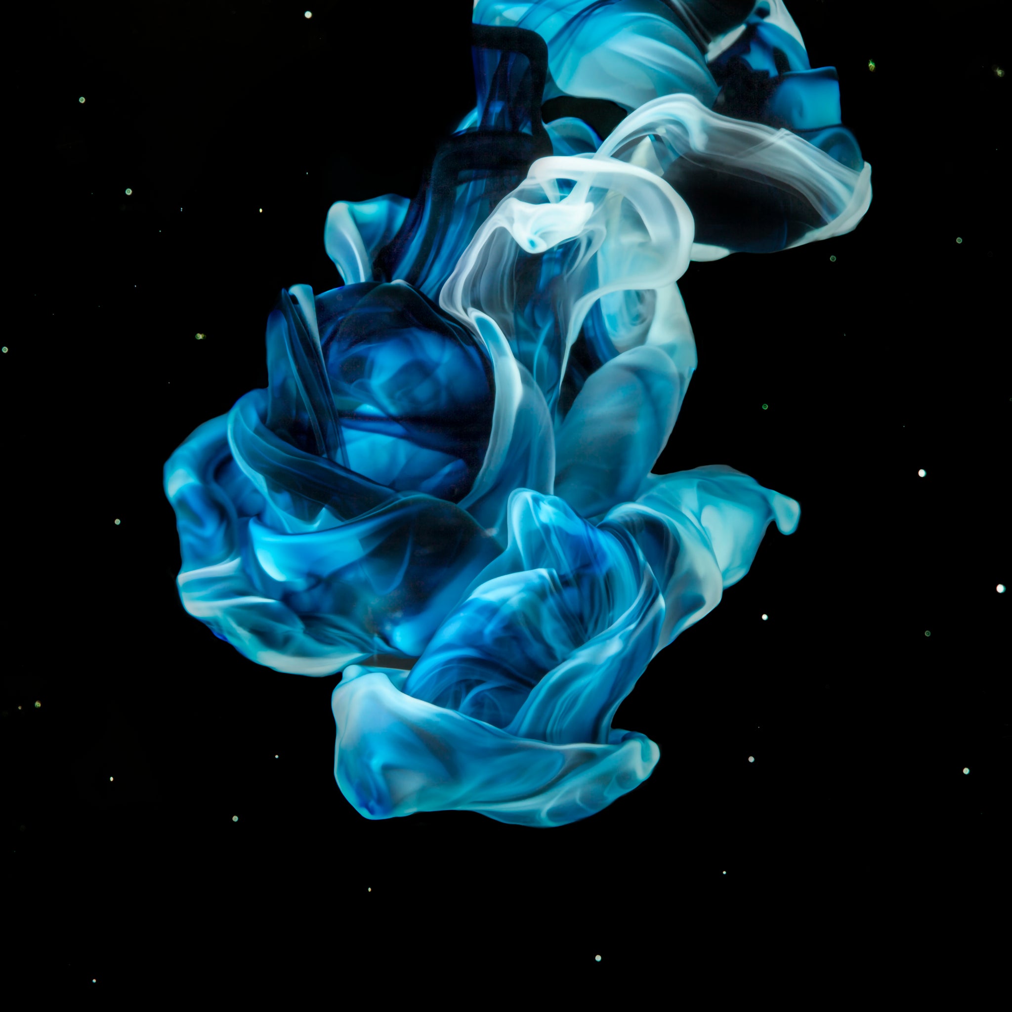 A Starry Night