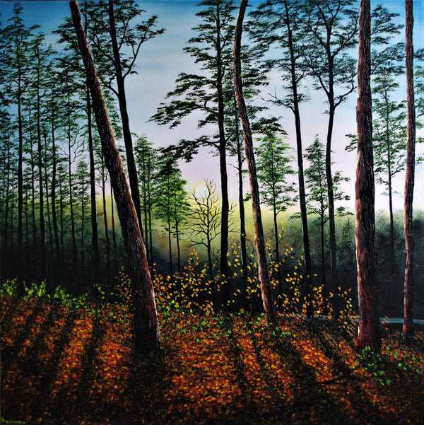 Autumn Sunset In The Forest
