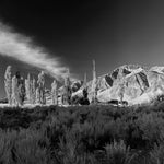 Bishop Hills - Sierra Nevada