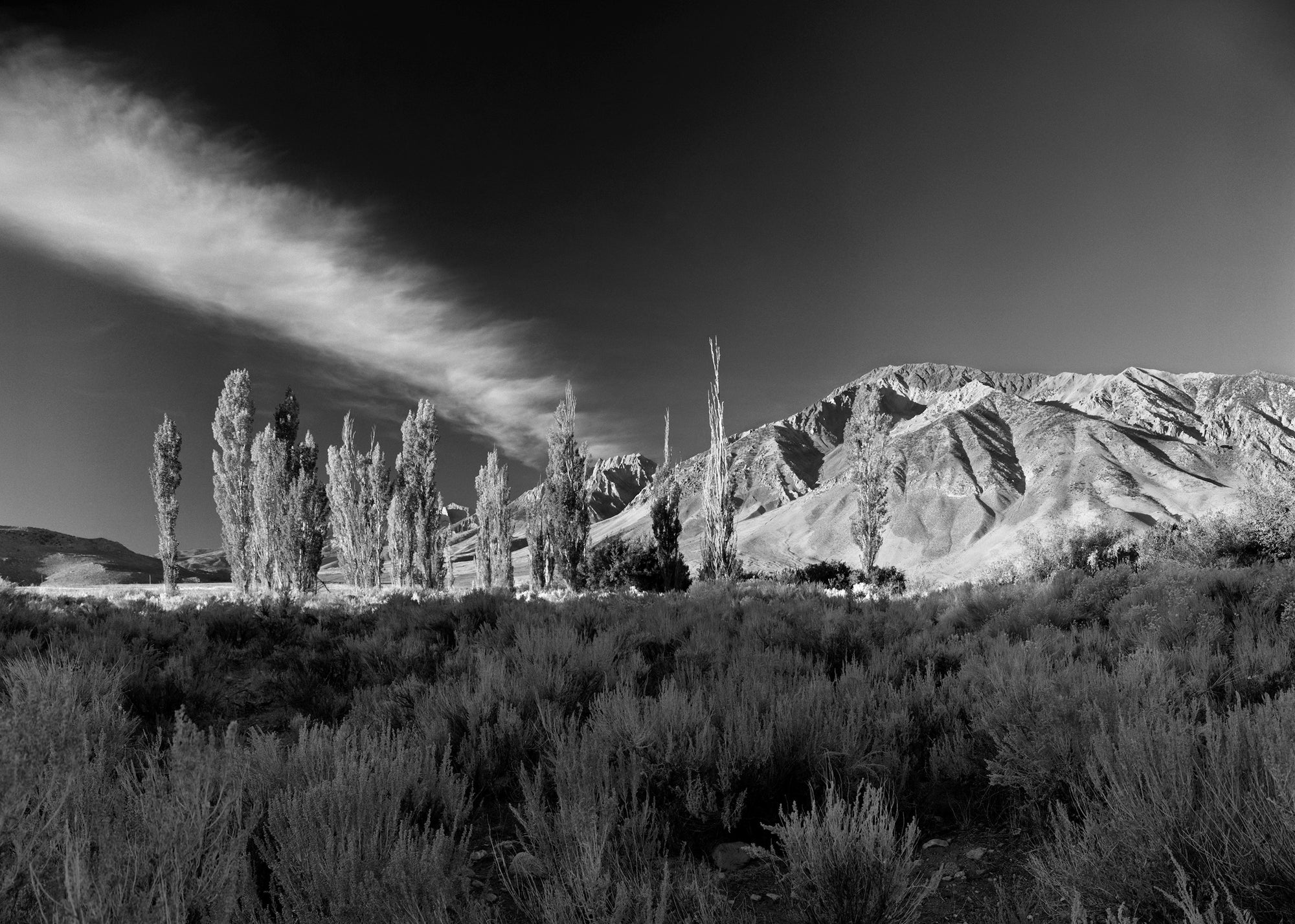 Bishop Hills - Sierra Nevada