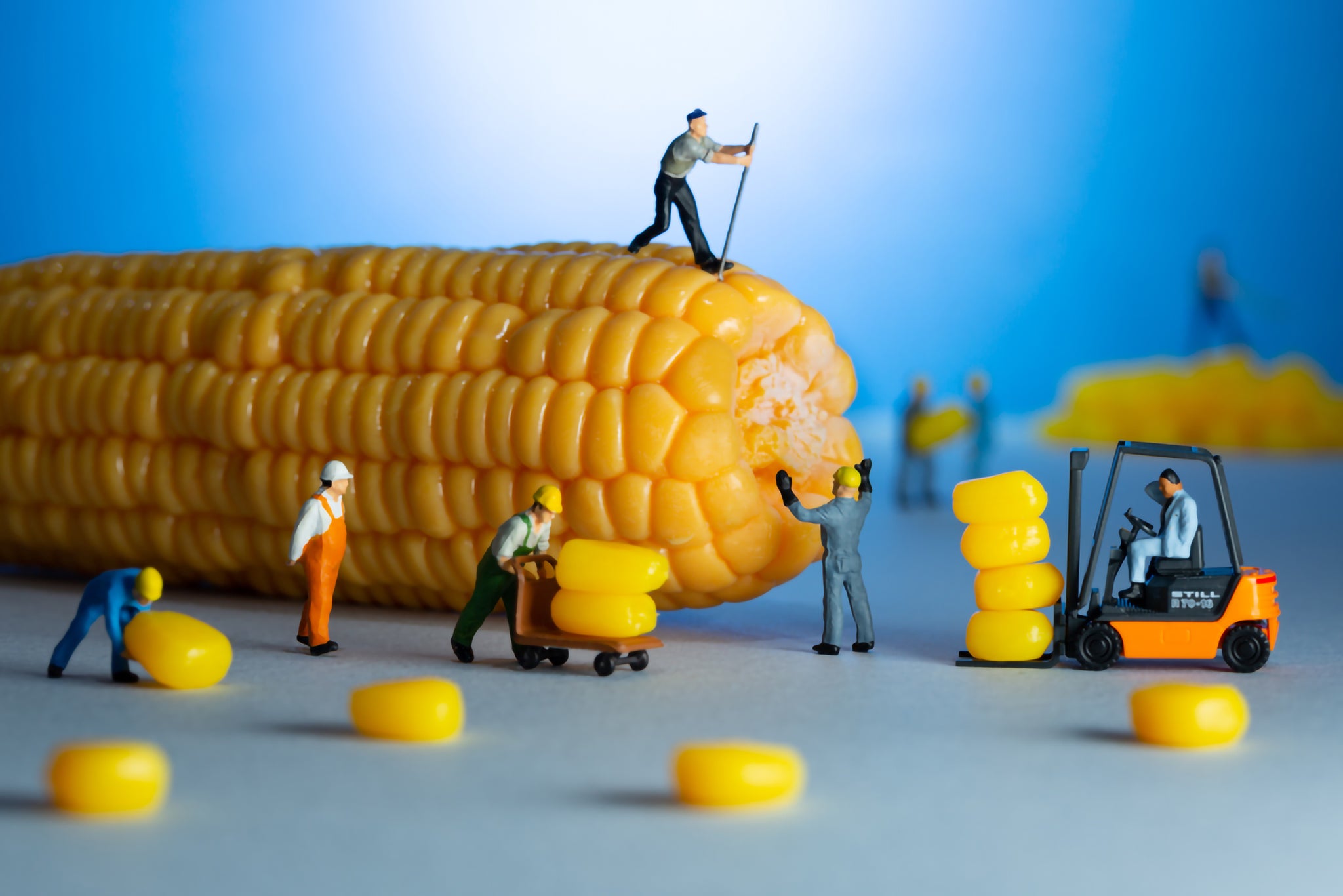 Corn On The Job