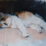 Cornish Kitty