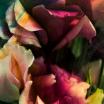 Dark Love I