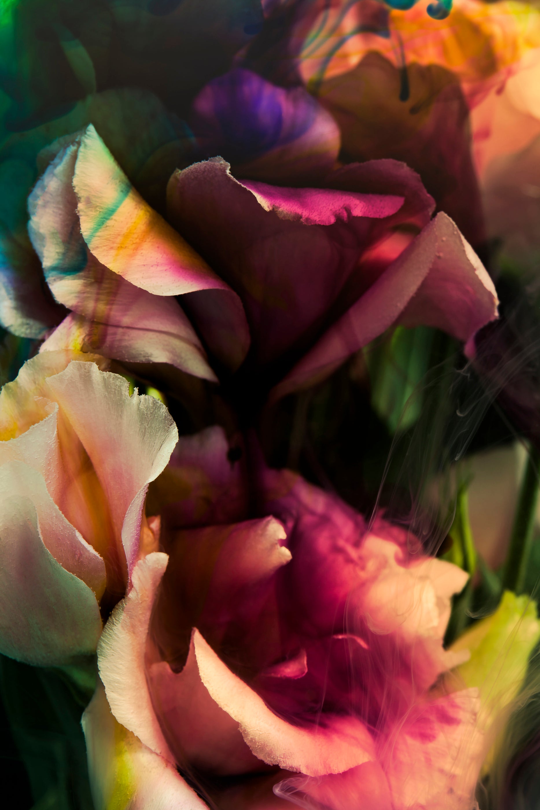 Dark Love I