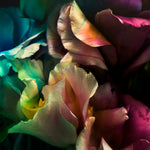 Dark Love II