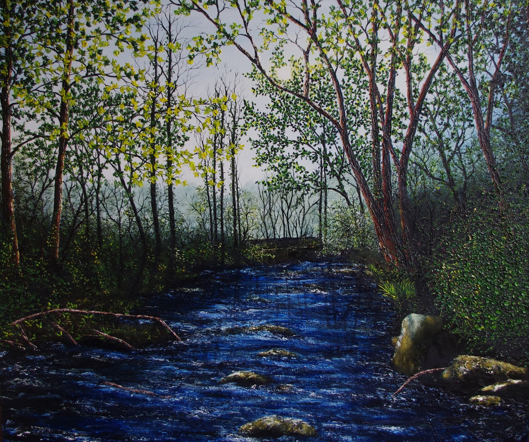 Forest River