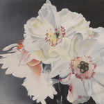 Glowing Peonies