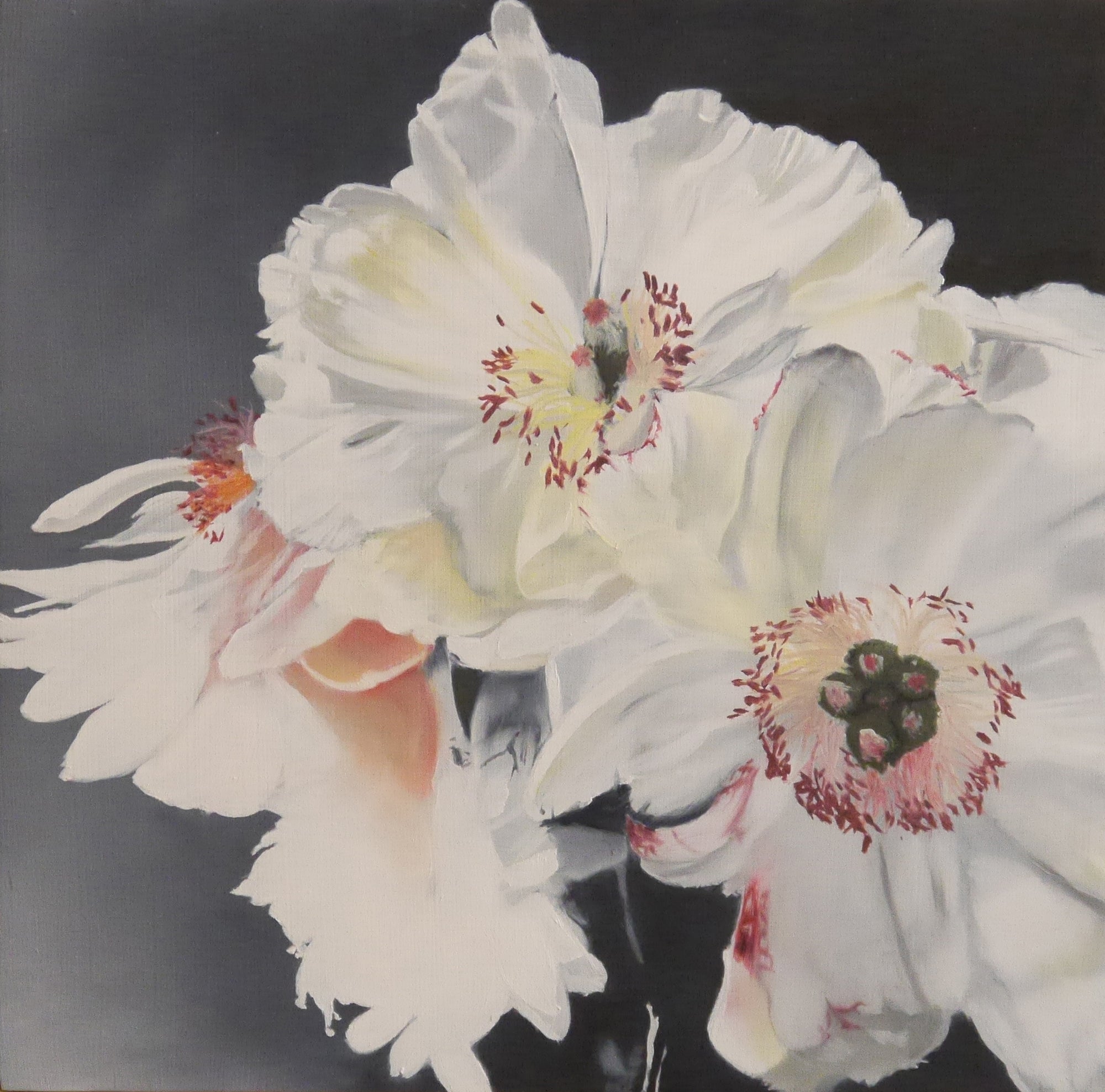 Glowing Peonies