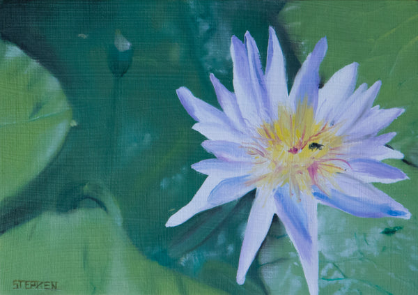 Lilly