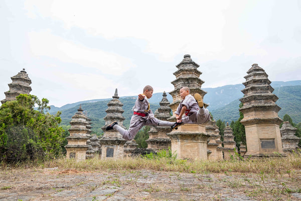 Little Shaolin Monks #9