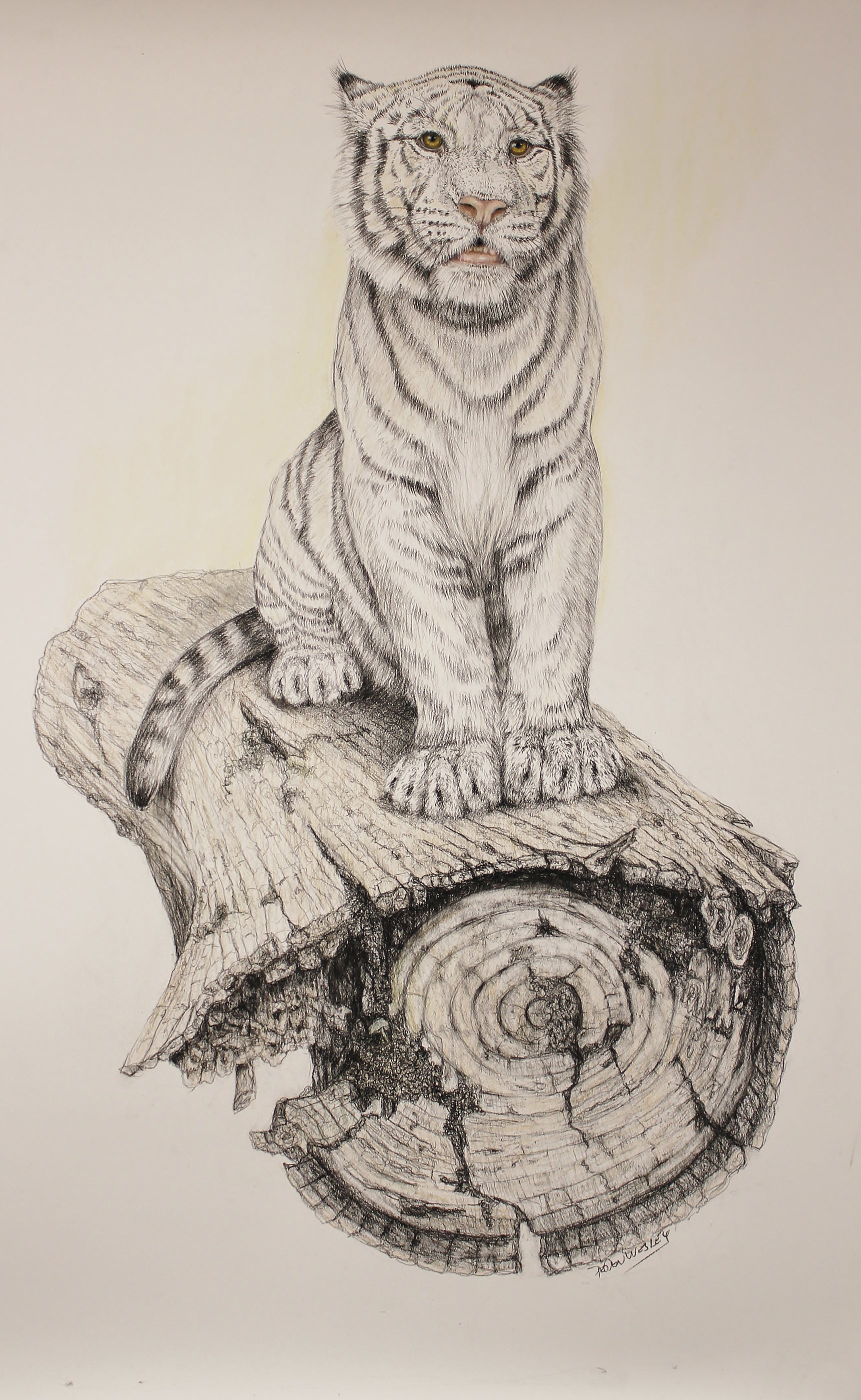 No Where To Run - White Tiger