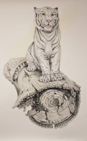 No Where To Run - White Tiger
