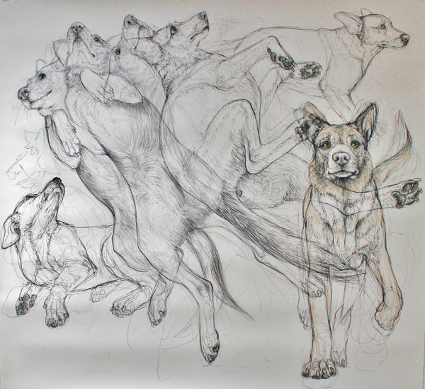 Old Dog, New Trick