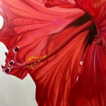 Red Giant