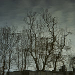 Ripples 1