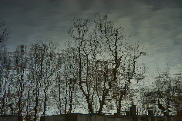 Ripples 1
