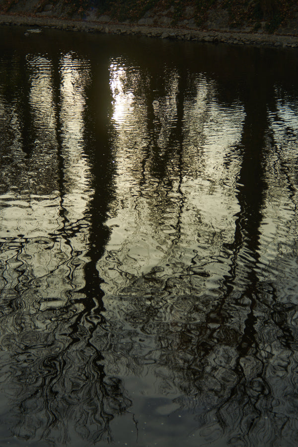 Ripples 5