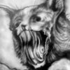 Screaming Kitty