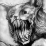 Screaming Kitty