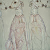 Spanish Greyhounds