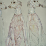 Spanish Greyhounds