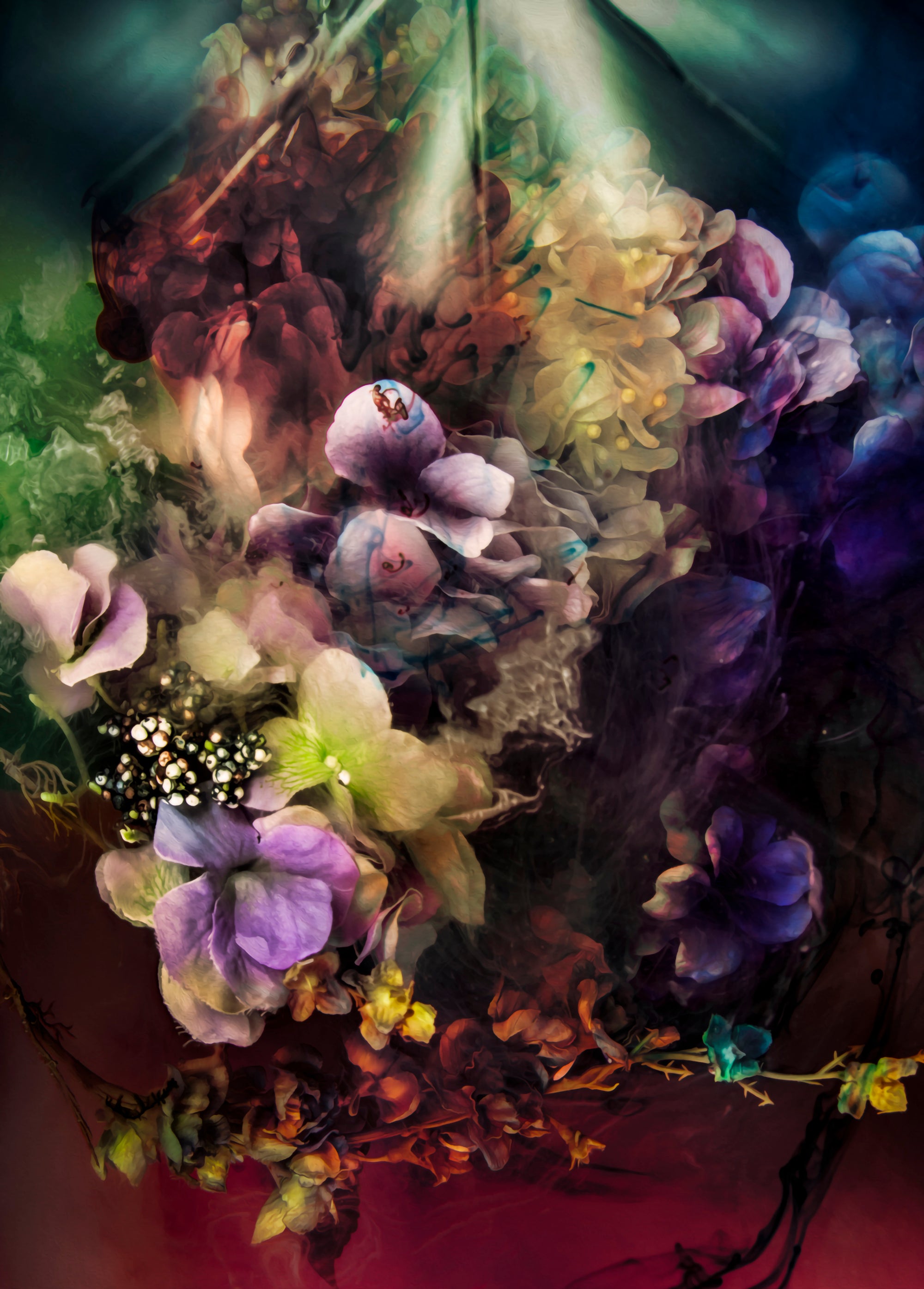 The Night Blossoms