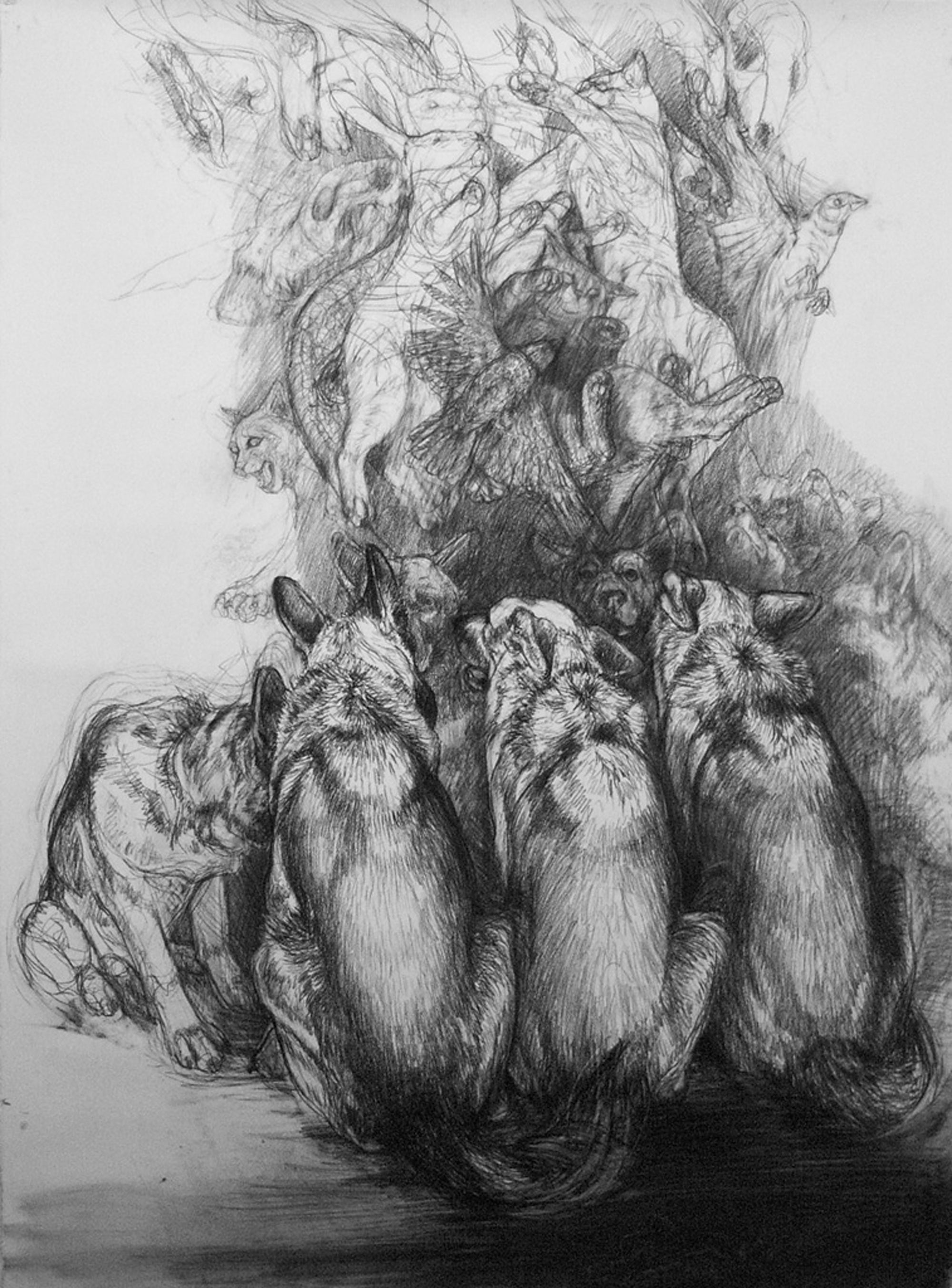 The Storyteller