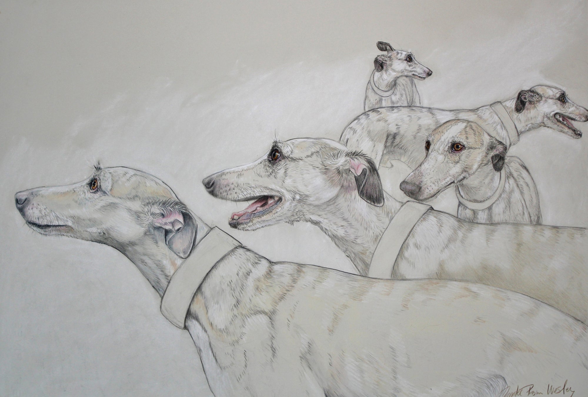 Whippet Landscape
