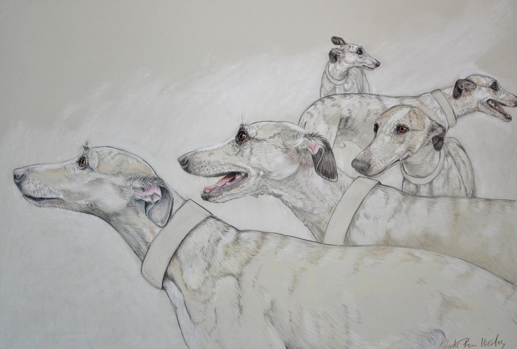 Whippet Landscape