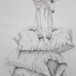 Whippet On Pillows