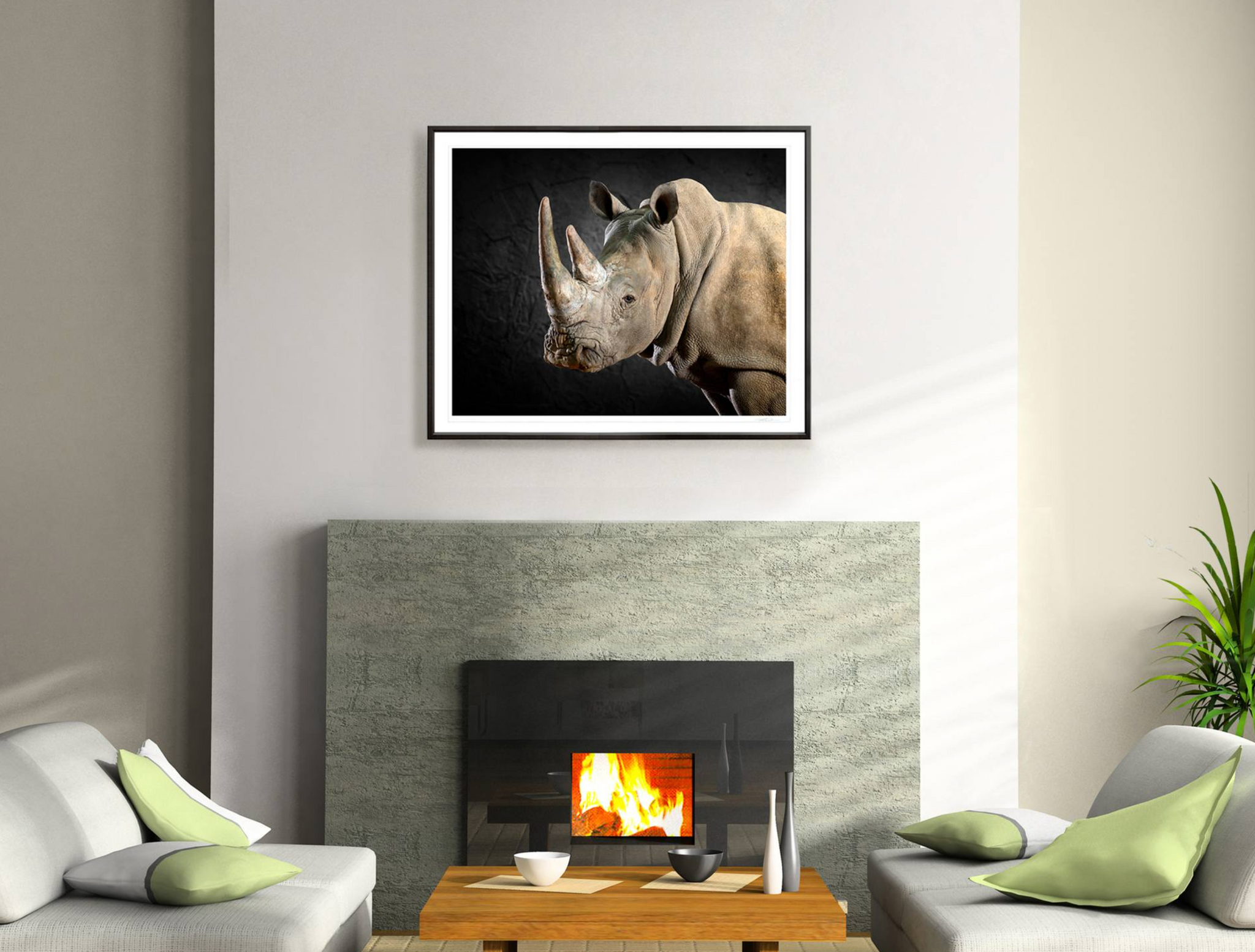 White Rhino Portrait