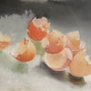 Broken Eggs