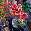 Red Tulips And Lilac